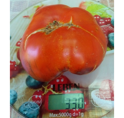 Томат Синий Том (Blue Tom)