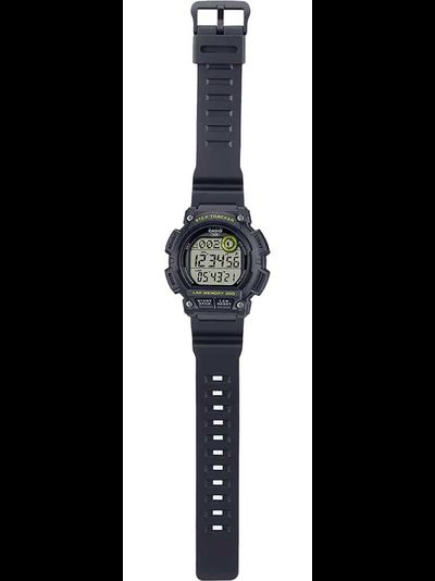 Часы Casio WS-2100H-8A