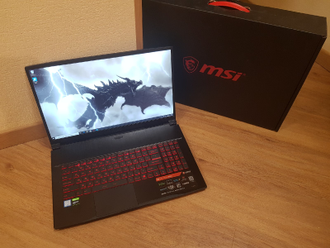 MSI THIN GF75 9SC-402RU ( 17.3 FHD IPS 120Hz i7-9750H GTX1650(4Gb) 16Gb 512SSD )