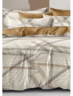 Постельное белье Cleo семейное сатин 145х215х2 220х240х1 50х70х2 70х70х2 41/749-SL