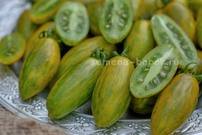 Томат Favorie de Bretagne (Фаворье де Бретань), 10 шт