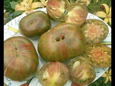 Томат Ананасовая зебра (Pineapple zebra)