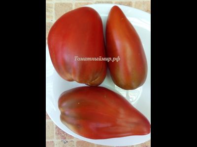 Томат Кубинский перцевидный