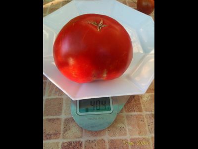 Томат Хелен немецкий (Helen's German)