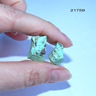 Бирюза натуральная (необработанная) Казахстан арт.21759: комплект - 5,7г - 19*12*9мм + 17*12*10мм