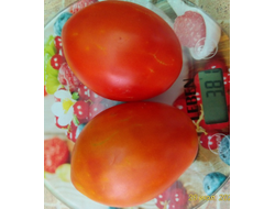 Томат Минусинские стаканы красные