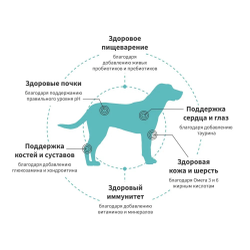 Grandorf Fresh сухой корм для собак крупных пород с ягненком и бататом, 3 кг