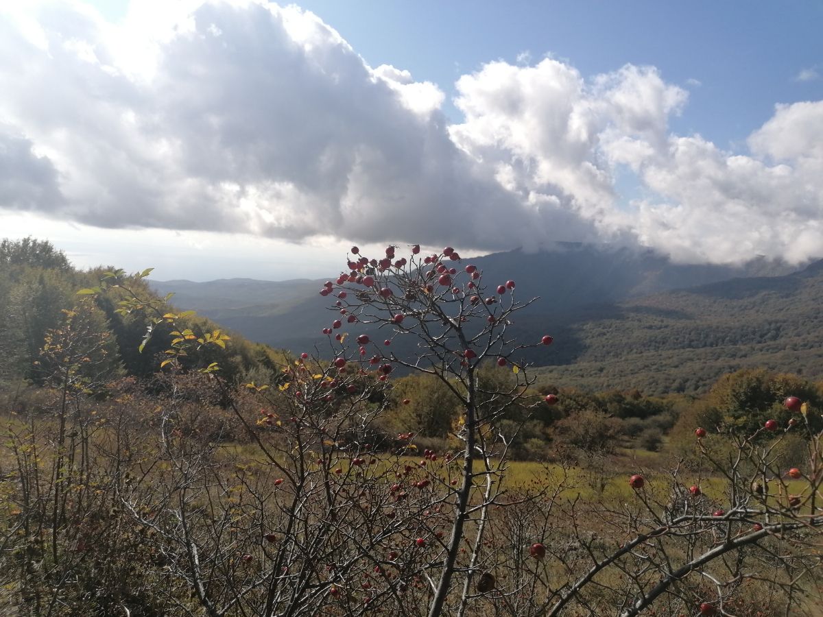 Походы по Крыму - пеший поход через горы к морю, Караби-Яйла