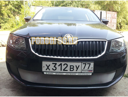 Защита радиатора Skoda Octavia А7 Active 2013-2017 chrome