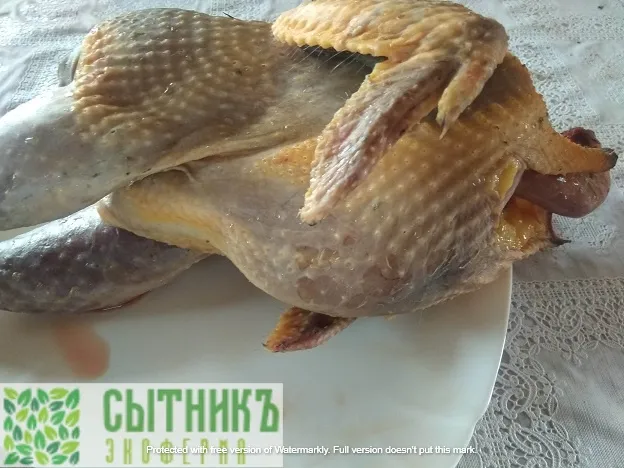 Парное мясо цесарки купить