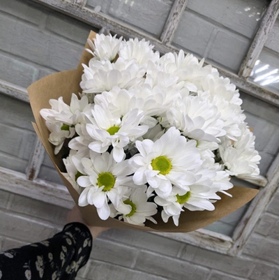 Классический букет из 5 белых кустовых хризантем Баккарди