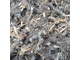 Нагармота, циперус, сыть (Cyperus scariosus) 5 г - 100% натуральное эфирное масло