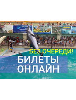 ГЕЛЕНДЖИКСКИЙ ДЕЛЬФИНАРИЙ
