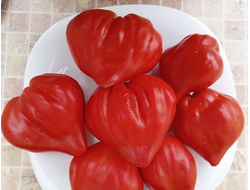 Томат Скифея (Скифская фея)