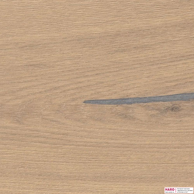Декор паркетной доски Haro Дуб Пуро Белый Алабама браш 1-пол, масло 529764 структура
