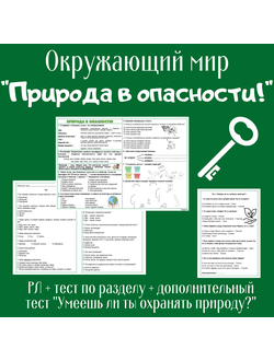 Рабочий лист. 2 класс. "Природа в опасности!"