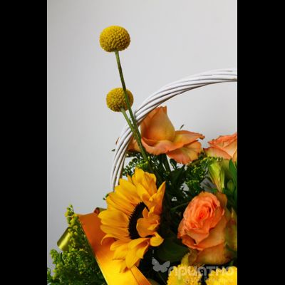 ЦВЕТОЧНАЯ КОМПОЗИЦИЯ № 182