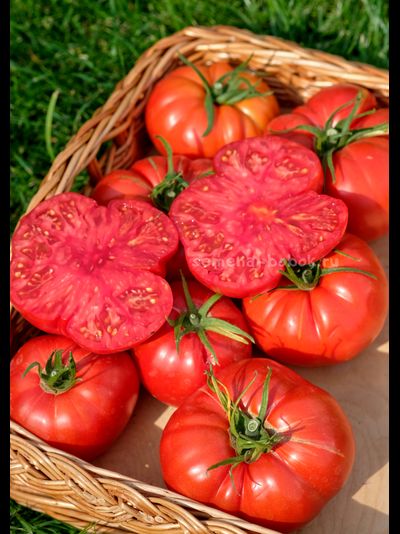 Томат Arnaldo (Арналдо), 10 шт