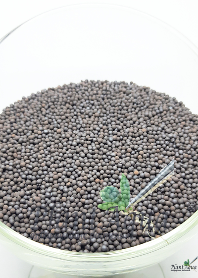 Грунт "Голландский" для аквариумных растений, 3 л