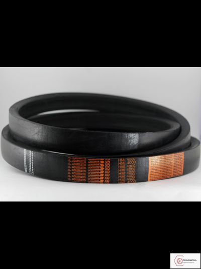 Ремень вариаторный 45х22-4000 (РСМ 6201255)