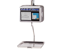 CAS "CL5000-J IH" 29*43 см