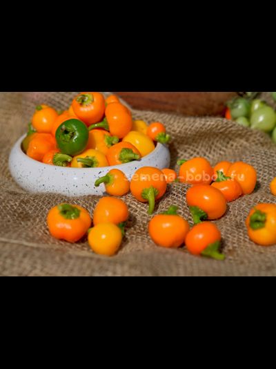 Перец сладкий Mini Bell Yellow (Мини Белл Желтый), 10 шт