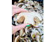 Сушеный белый гриб АЛТАЙ, Урожай 2023, 100г