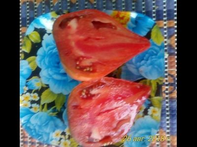 Томат Черное сердце с носиком от Борисовны (усл)