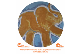 Александр Отрошко (Россия, Сочи)