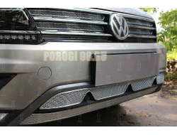 Защита радиатора Volkswagen Tiguan II 2016- chrome низ (Off-Road) с камерой PREMIUM