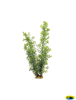 1110101-АRТ "Бакопа" 60см