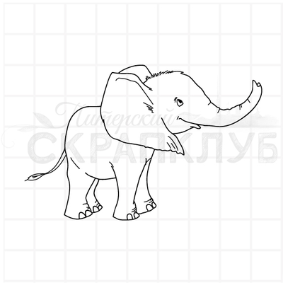 ФП штамп "Слон левый"