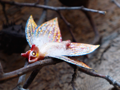 "Бабочка Вогненной Лисички", кулон из глины и шёлка