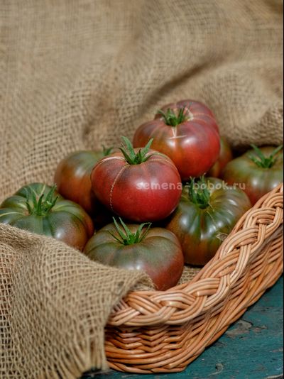 Томат Париж, 10 шт