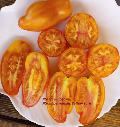 Томат Желтый огонь (Yellow fire, Желтое пламя)
