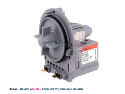 Насос сливной (помпа) Askoll M116 25Вт 292226 для стиральной машины Candy, Indesit, Haier
