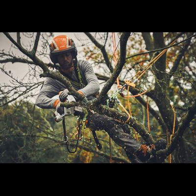 Аккумуляторная пила Stihl GTA 40 set за 34200 р.