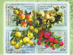 Флора России. Сорта яблони (кв.блок)