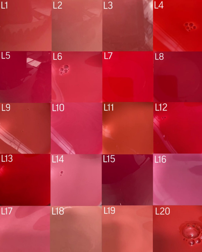 L20 «Экзотика» - Пигмент для губ Тинель (Tinel), 5мл