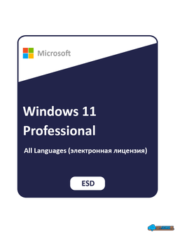 Электронная лицензия FQC-10572 Win Pro 11 64-bit All Lng PK Lic Online DwnLd NR