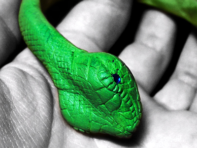 Браслет "Змей-искуситель"