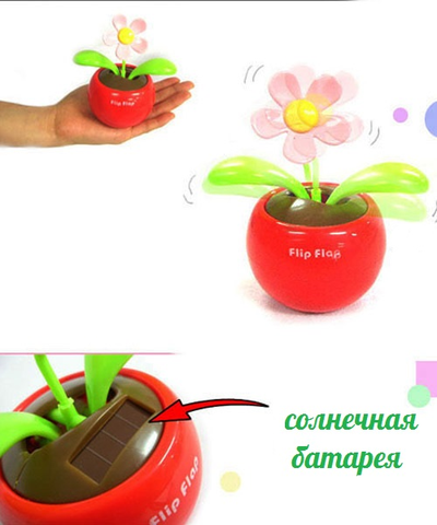 цветок flip flap