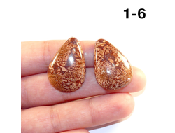 Коралл натуральный окаменелый (кабошон) №1-6: 7,7г - 2 шт. 30*21*5мм