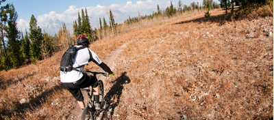 Рюкзак Dakine Session 8L Cyan Scribble