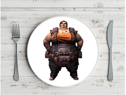 Тарелка Borderlands, Бордерленд №34