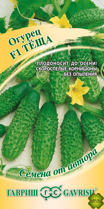 ОГУРЕЦ "ТЕЩА F1" (не требует опыления, плодоносит до осени)
