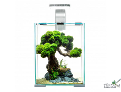 Аквариум AQUAEL SHRIMP SET DAY&NIGHT 10л, 20х20х25см белый