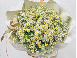 Букет ромашек "Летняя свежесть"