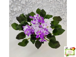 LV-Кирюша (Л. Шевелева) 2022 г. трейлер (пасынок посажен 15.08.25)