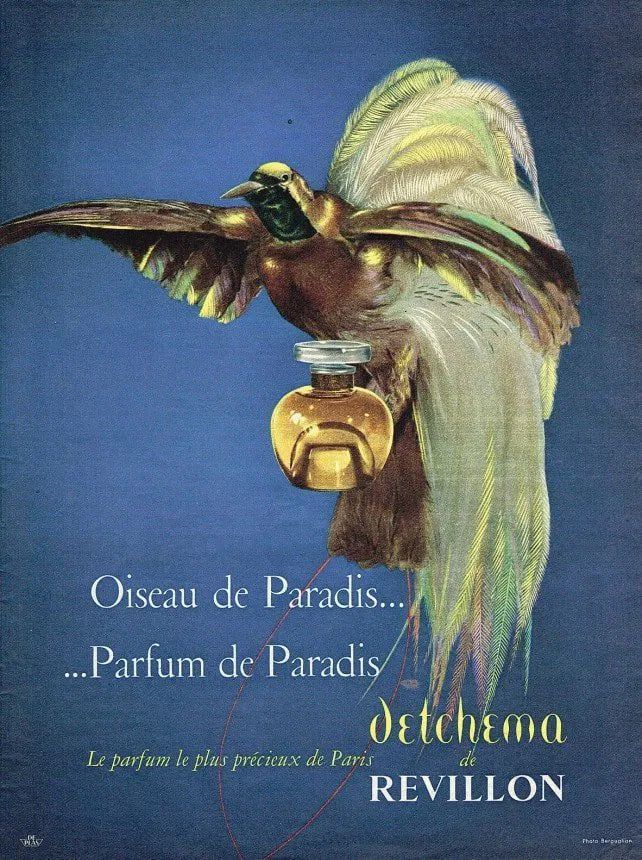 Revillon Духи Купить | Ревийон / Ревильон, Лучшие Духи